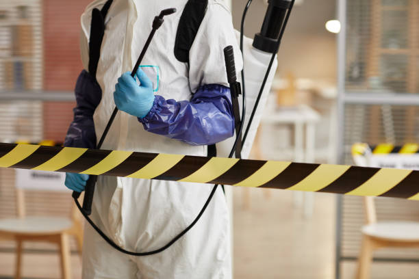 Professional Sewage Cleanup technician working in Schurz, NV